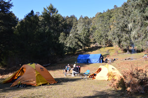 Dagala Camp, Camping